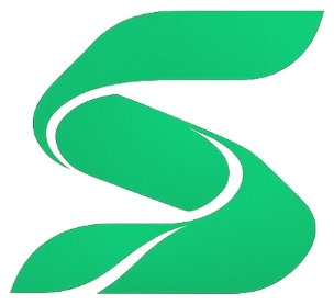 Sainin Systems Logo